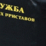 Чтобы не потерять иномарку, житель Рассказово за сутки отдал 320 тысяч рублей налогов - ВТамбове.Ru