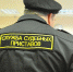 Тамбовские приставы спасли умирающую от выкидыша свидетельницу - OnlineTambov.Ru