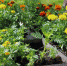 You are viewing the image with filename IMG_7478.JPG - Tambov.Ru