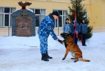 Магазин Звезда Тамбов Уфсин Каталог Товаров
