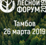 Сохранение и восстановление леса обсудят на Национальном лесном форуме - Телекомпания Новый Век