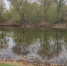 В Цне зафиксирован самый низкий уровень воды за весь период наблюдений - OnlineTambov.Ru