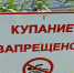 Из-за изменения рельефа дна в Тамбове закрыли четыре пляжа - ВТамбове.Ru