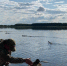 http://www.top68.ru/sites/default/files/styles/768x474/public/article-images/2019/07/22/news-nid104047-149255.jpg?itok=C_RGWGJ_ - Top68.Ru