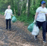 https://top68.ru/sites/default/files/styles/768x474/public/article-images/2019/10/25/news-nid107113-157338.jpg?itok=3S1TQpWL - Top68.Ru