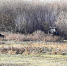 В Ржаксинском районе ликвидируют несанкционированную свалку навоза - Справедливая Россия