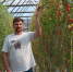 public://article-images/2020/10/21/news-nid119027-183376.jpg - Top68.Ru