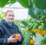public://article-images/2020/11/03/news-nid119462-184193.jpg - Top68.Ru