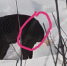 https://top68.ru/sites/default/files/styles/768x474/public/article-images/2021/03/04/news-nid123637-192404.jpg?itok=MwUR0WrR - Top68.Ru