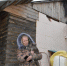 public://article-images/2021/04/13/news-nid125055-194943.jpg - Top68.Ru
