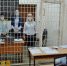 В Тамбовском следственном изоляторе впервые провели дистанционный экзамен - Тамбовский курьер