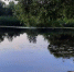 Водолазы извлекли из водоёмов Тамбовской области ещё трёх человек - OnlineTambov.Ru