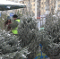 С 15 декабря в Тамбове начнут работать более 30 ёлочных базаров - OnlineTambov.Ru
