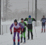 В Мичуринске прошла своя многодневка Tour De Ski - Держава-спорт