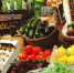 Диетолог посоветовала жителям России самые полезные продукты для поддержания здоровья весной - Телекомпания Новый Век