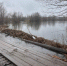 Из-за подъема воды в реке Воронеж отрезанным оказалось село в Тамбовской области - Телекомпания Новый Век