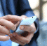МегаФон обнулил мобильный трафик в TenChat - OnlineTambov.Ru