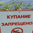 В Тамбове запретили купаться на двух пляжах - OnlineTambov.Ru