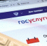 Паспорт болельщика можно будет оформить на "Госуслугах" - OnlineTambov.Ru