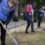 Державинский присоединился к всероссийской акции "Лес Победы" - OnlineTambov.Ru