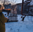 aWcYwnZxbUc.jpg - OnlineTambov.Ru
