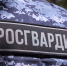 Росгвардейцы за неделю пресекли более 20 административных правонарушений в Тамбовской области - Росгвардия
