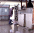 Жителей Тамбова заливает талыми водами - Тамбовский курьер