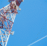 МТС переводит сеть LTE в Тамбове и области на инновационные скорости - Тамбовская жизнь