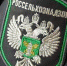 Сотрудница регионального Россельхознадзора после увольнения заблокировала бывшим коллегам доступ к почте - ProTambov.Ru