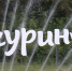 Мичуринск презентовал стратегию развития до 2023 года - Телекомпания Новый Век