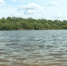 В Рассказове ввели временные ограничения на купание в водоёмах и ловлю рыбы в реке Лесной Тамбов из-за выявления холероподобного возбудителя у мигранта - ГТРК