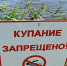 В Тамбове и Рассказово введён запрет на купание и ловлю рыбы в водоёмах - ProTambov.Ru
