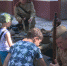 23 августа — 80-летие Победы советских войск в Курской битве - ГТРК