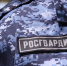 Росгвардейцы за неделю около 100 раз выезжали по сигналам «тревога» в Тамбовской области - Росгвардия