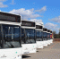 Тамбовская область закупит еще 17 новых автобусов - ProTambov.Ru