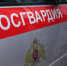 Росгвардейцы за неделю более 100 раз выезжали по сигналу "тревога" - OnlineTambov.Ru