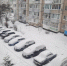 Эксперт рассказал, почему опасно оставлять автомобиль на долгую стоянку в снегу - OnlineTambov.Ru