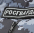 Росгвардейцы за неделю пресекли более 10 правонарушений в Тамбовской области - OnlineTambov.Ru