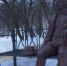 С. Н. Сергеев-Ценский: о жизни на тамбовской земле - ГТРК