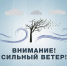 В ближайшие часы в Тамбовской области ожидаются порывы ветра 15-20 м/с - Администрация г. Тамбова