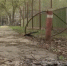 В МЧС напомнили, как сжечь мусор на даче и не заработать штраф - ГТРК