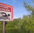 Эксперт рассказал, чем грозит купание в не одобренных водоемах - OnlineTambov.Ru
