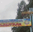 Специалисты минобрнауки посетят лагерь «Искорка» после жалоб белгородцев - Тамбовская жизнь