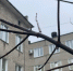 В Тамбов пришло почти весеннее потепление - Тамбовская жизнь