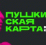 В 2025 году планируется на треть увеличить посещаемость культурных мероприятий по «Пушкинской карте» - Национальные проекты