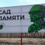 В честь 80-летия Победы в Тамбовской области высадят почти 550 тысяч молодых деревьев по акции «Сад памяти» - Национальные проекты