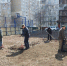 В Тамбове прошли субботники во дворах - Администрация г. Тамбова