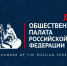 Общественной палате 20 лет: ключевой институт гражданского общества празднует юбилей - Общественная палата