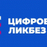 Тамбовские школьники узнают о правилах защиты старшего поколения от кибермошенников - Национальные проекты