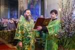 В канун Цветоносной недели митрополит Феодосий совершил всенощное бдение в Спасо-Преображенском соборе 20